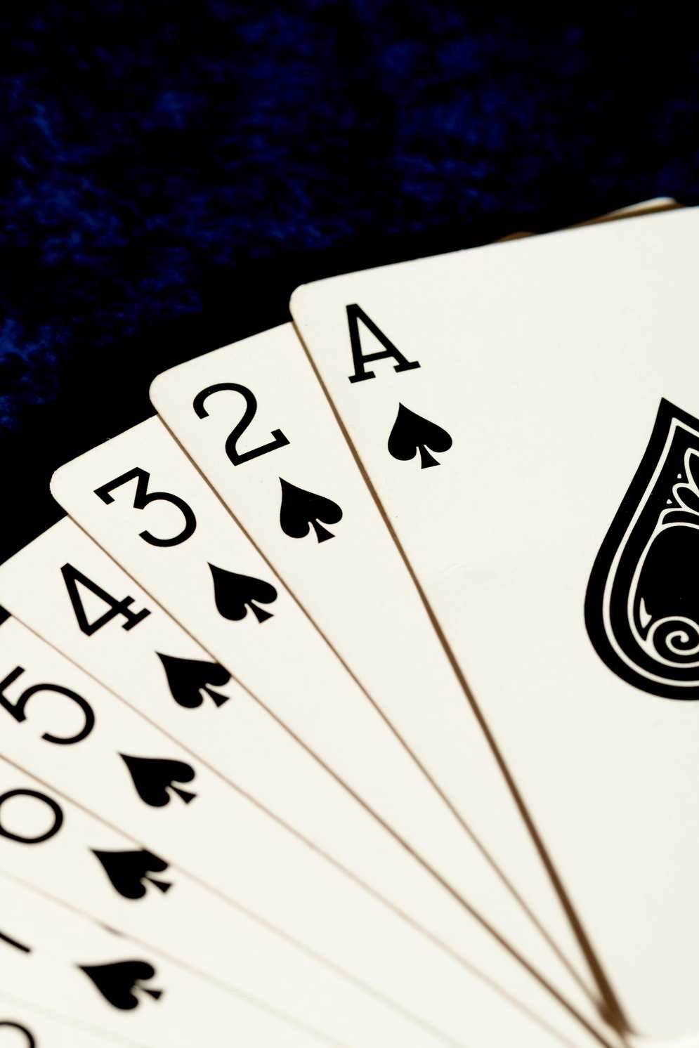 https://casinointensefr.org https://casinointensefr.org